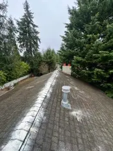 Chimney Cap Installation and Roof Cleaning in Bellevue