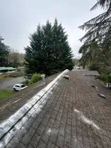 Chimney Cap Installation and Roof Cleaning in Bellevue