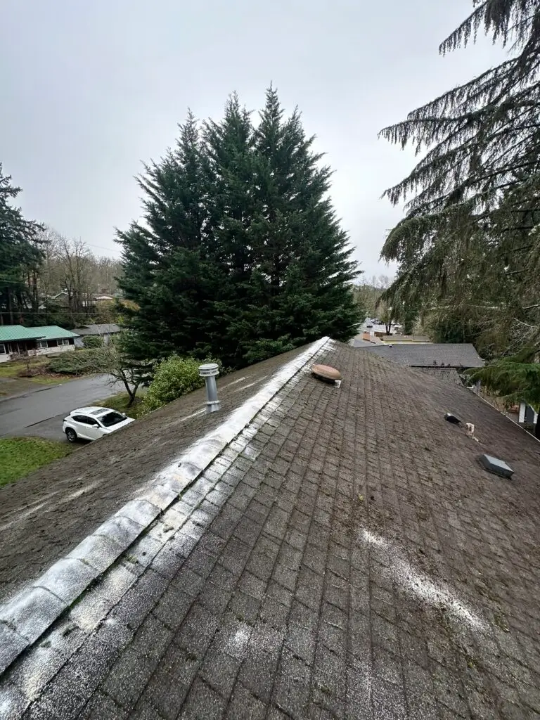 Chimney Cap Installation and Roof Cleaning in Bellevue