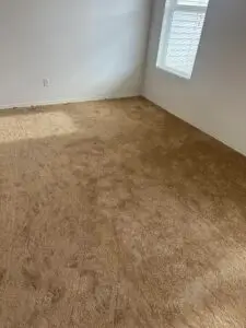 Carpet Stretching Services in Seattle