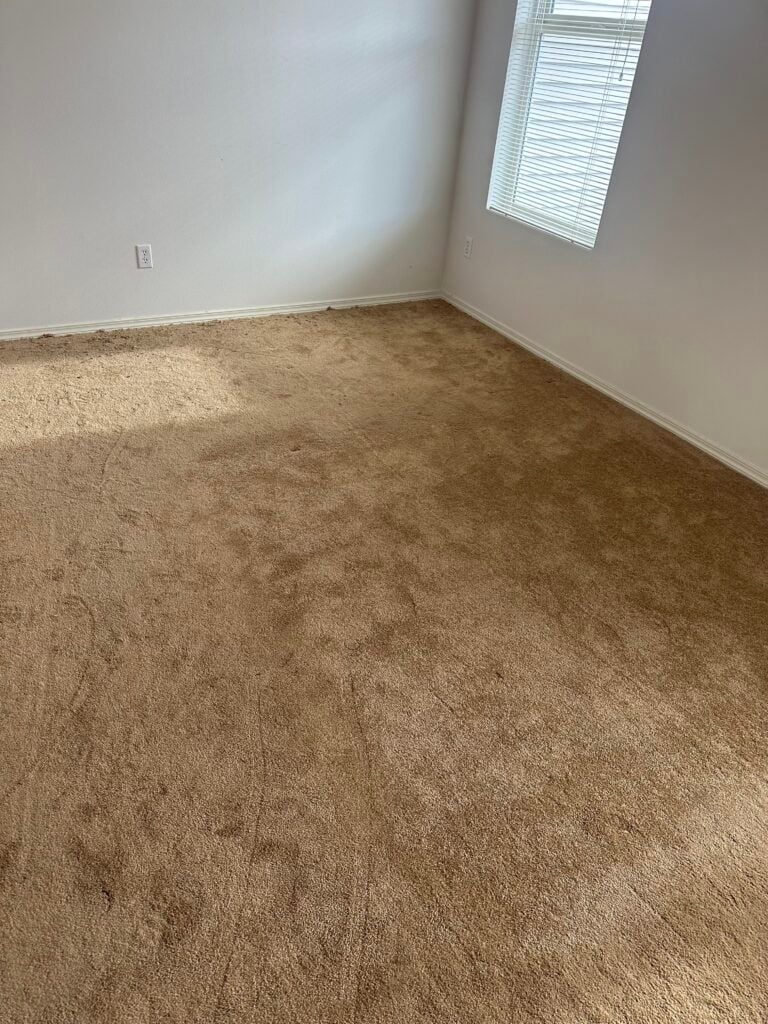 Carpet Stretching Services in Seattle